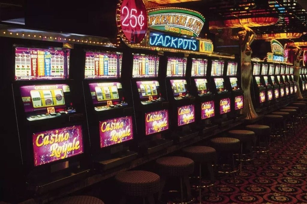 bamboospg|Bingo Online com Suporte VIP 24h – Aposte e Vença