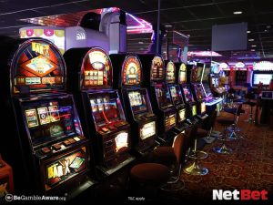 bamboospg|Slots Exclusivos com Cashback Diário – Participe Já